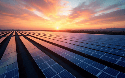 Why Go Solar in Australia in 2025?